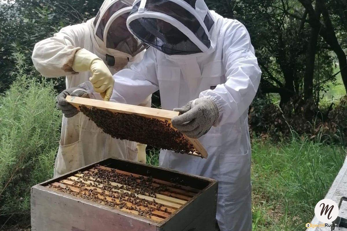 Baptême d'apiculture en Ardèche